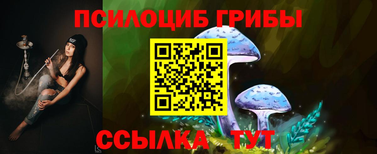 Псилоцибиновые грибы Psilocybe Ейск