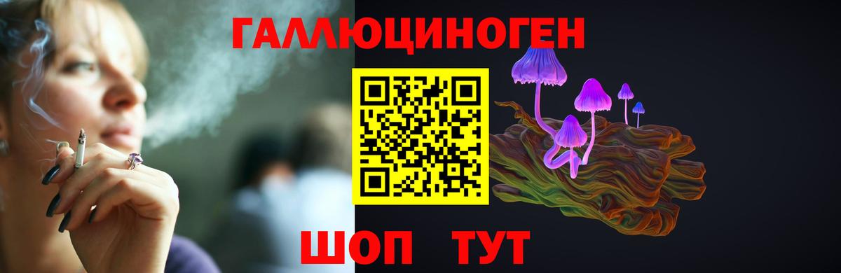 где продают наркотики  Вход с VPN  Ейск  Галлюциногенные грибы GOLDEN TEACHER 